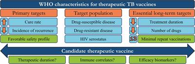 Advancing Immunotherapeutic Vaccine Strategies Against Pulmonary Tuberculosis